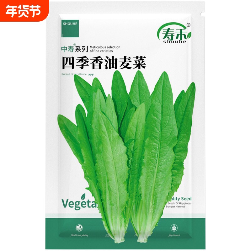 油麦菜种子四季播青菜种籽仔阳台菜籽盆栽籽种蔬菜孑春季菜种大全