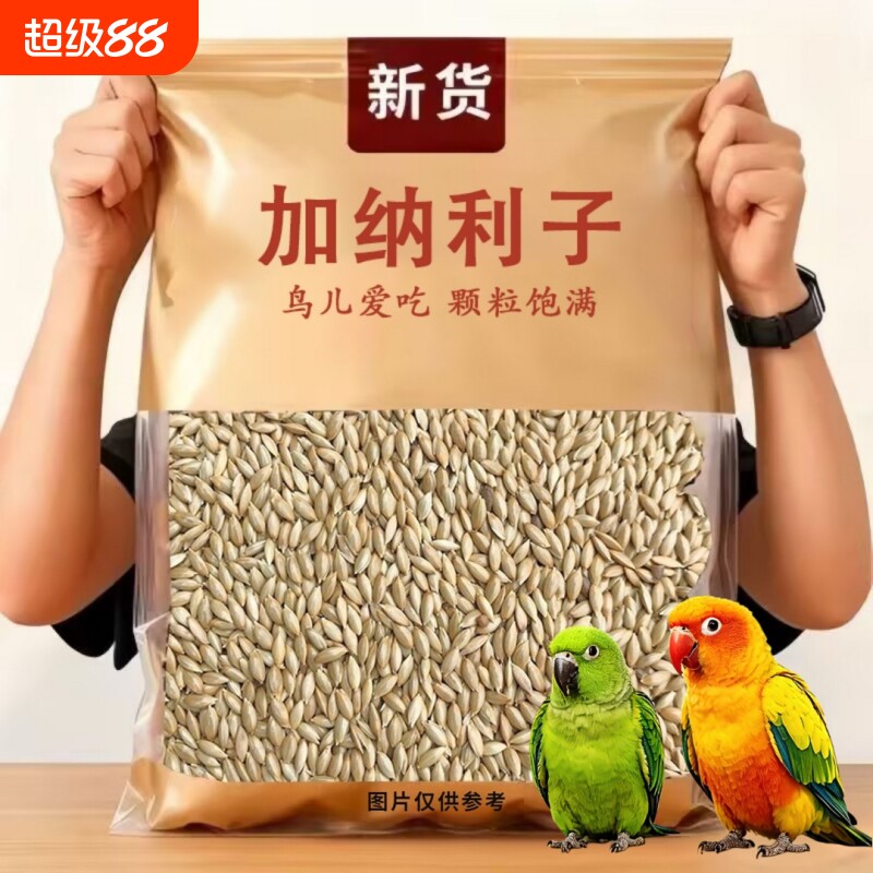 鹦鹉鸟食饲料加纳利子白尖粟图片