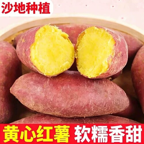 新鲜现挖黄心蜜薯软糯香甜早餐代餐农家自种番薯红薯地瓜批发沙地