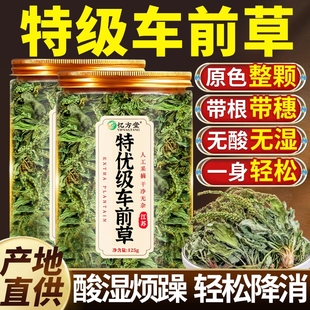 车前草野生中药材正品 官方旗舰店新鲜干货降泡水喝酸车前草茶原味