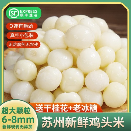 喜鲜令鸡头米新鲜2025芡实中大颗粒苏州特产新鲜非干货手剥鸡头果