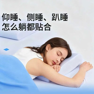 记忆棉枕头蓝枕N2蓝枕芯盒子护颈椎助睡眠学生成人酒店礼盒装送礼