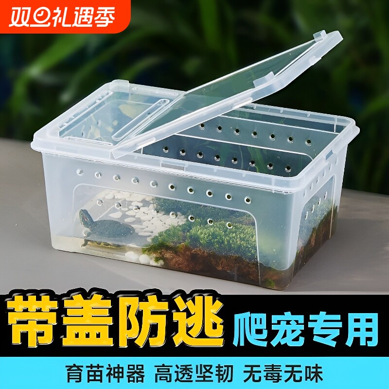 饲养盒蜘蛛角蛙蜗牛仓鼠守宫爬宠箱乌龟缸寄居蟹生态缸饲养缸带盖