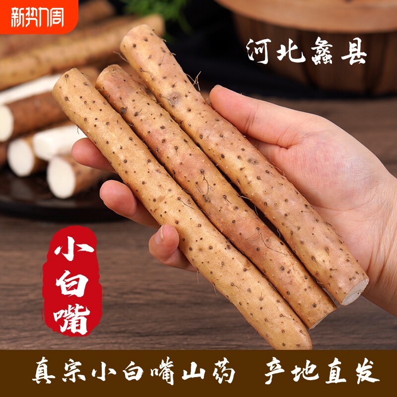 正宗河北小白嘴山药段儿童辅食农产品特产净重2.6斤包邮铁棍新鲜