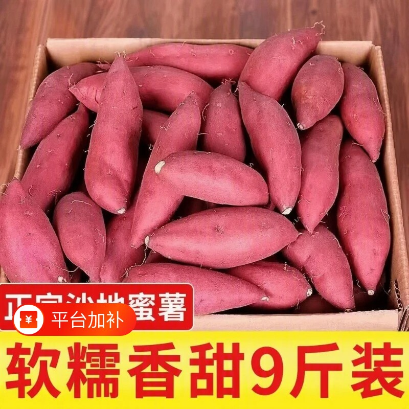 沙地板栗地瓜红薯新鲜蜜薯番薯糖心山芋农家自种龙九黄心软糯香甜