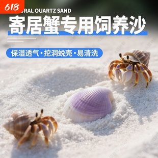珊瑚沙【寄居蟹专用沙】天然垫材螃蟹海沙鱼缸造景底砂菲律宾白沙