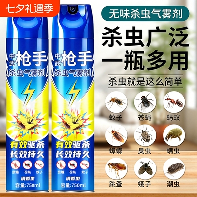 杀虫剂家用室内无毒气雾剂灭蚊子