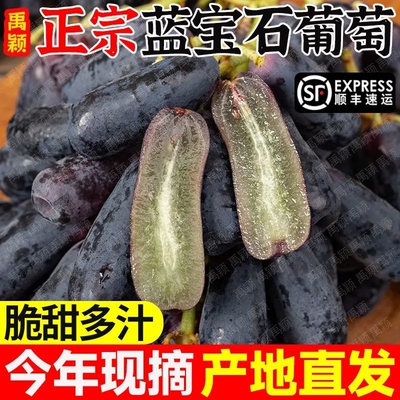 顺丰蓝宝石无籽提子新鲜当季水果黑加仑孕妇小孩葡萄美人现摘精品