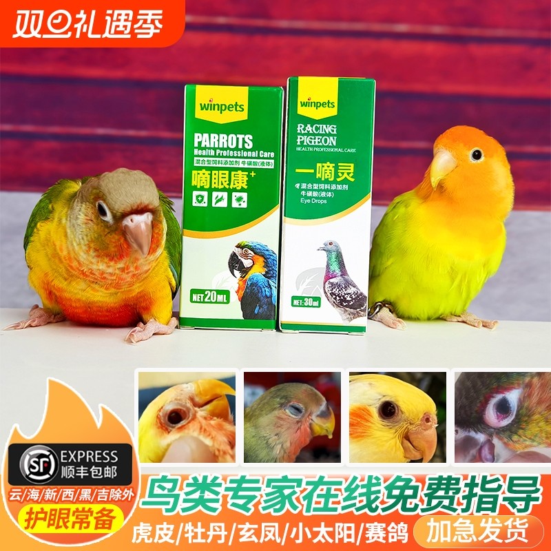 鸟类滴眼康用品 信鸽一滴灵30ml 鹦鹉眼部护理推荐