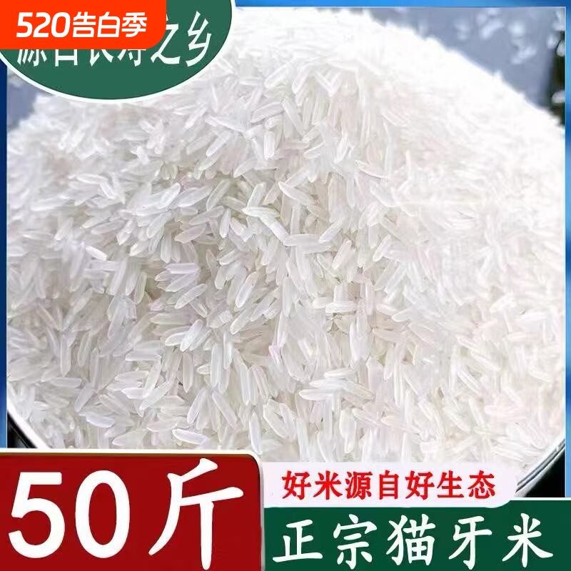 50斤丝苗米南方晚稻装新米当季农家10斤粘米丝苗长粒猫牙香米大米