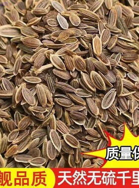 千里香 500g九里香百里香莳萝籽火锅卤菜香料 天然增香调味料调料