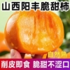 2026巧克力脆柿4.5斤 单果120g-150g