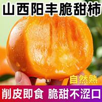 2026巧克力脆柿4.5斤 单果120g-150g