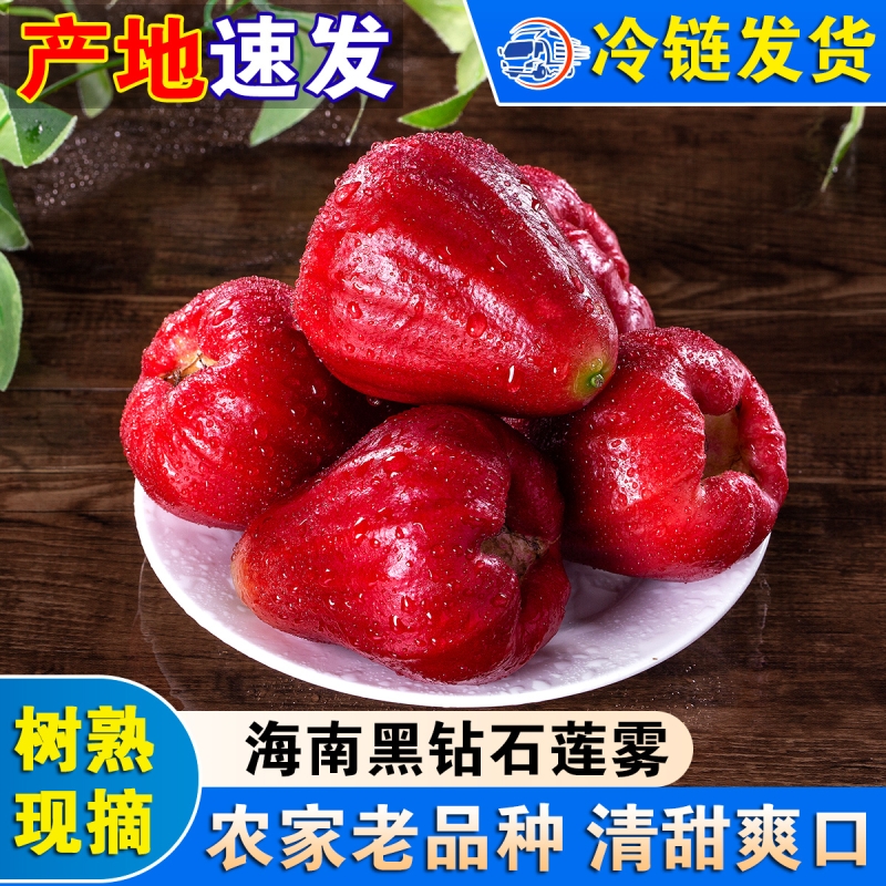 新鲜莲雾果整果水果