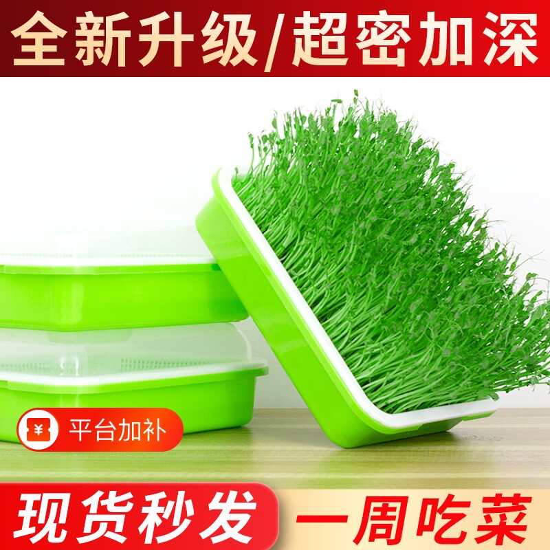 豆芽发芽盆无土栽培蔬菜水培豌豆苗设备种植架托家用芽苗菜育苗盘