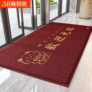 欢迎光临进门丝圈地垫商铺迎宾门垫酒店门口脚垫商用除尘防滑地毯
