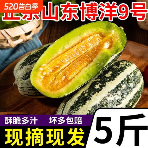 山东博洋9号脆甜多汁坏果包赔