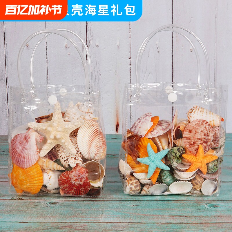 天然贝壳海螺壳摆件海星鱼缸水族箱地台造景儿童玩具礼物包邮收藏