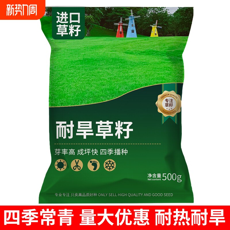草坪草籽耐热耐旱护坡狗牙根四季常青庭院地毯草皮绿化黑麦草种子