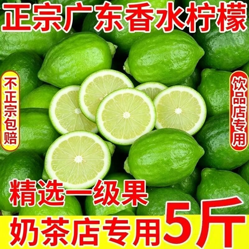 广东无籽香水柠檬奶茶店专用水果青柠檬鲜果手打二级果一级果精选