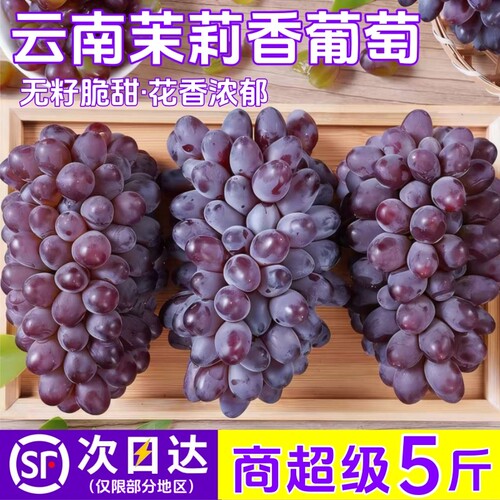 【鲜仑】云南茉莉香葡萄5斤新鲜现摘脆甜无籽红提子水果顺丰包邮
