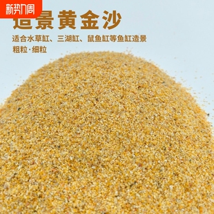 黄金沙南美三湖鼠鱼底砂天然细河沙水草砂化妆沙鱼缸草缸水陆造景