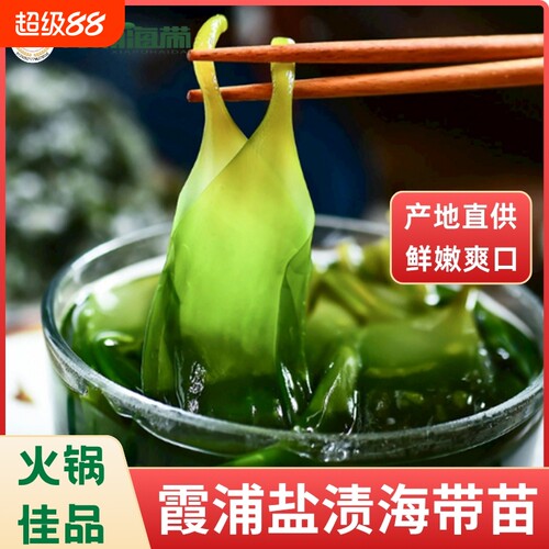 霞浦新鲜当季盐渍海带嫩苗盐渍海带苗地标特产凉拌火锅食材非干货