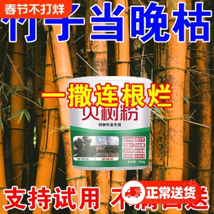 竹子烂根除专用竹根连根除强力去竹粉竹根大树灭杂草灌木专用剂S