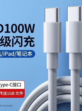 双typec数据线tpyec双头pd100w快充ctoc口适用华为小米苹果15笔记本电脑ipad平板手机充电线器usbc公对公696