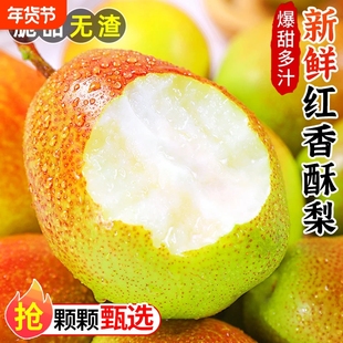 【正宗】红香酥梨新鲜香梨脆甜皮梨子特级水果多汁孕妇整箱包邮