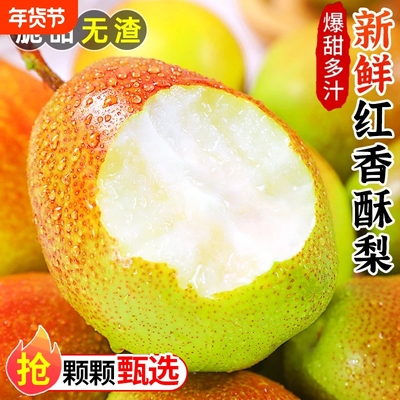 【正宗】红香酥梨新鲜香梨脆甜皮梨子特级水果多汁孕妇整箱包邮