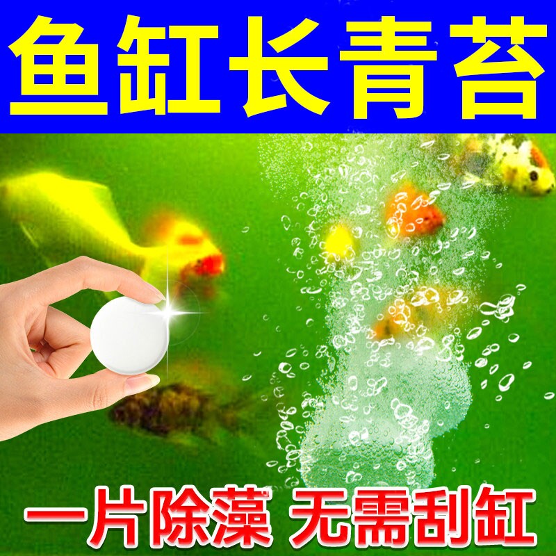 【鱼缸除藻片】专用净水剂去黄绿浑水净化一粒清澈不死鱼免换水用