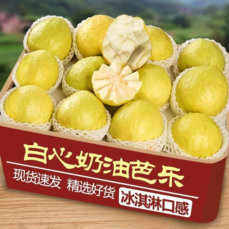 广东黄金奶油芭乐水果新鲜包邮白心番石榴软心低糖鸡屎果双拼5斤
