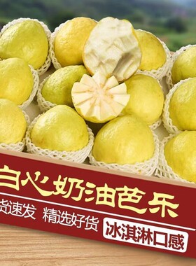 广东黄金奶油芭乐水果新鲜包邮白心番石榴软心低糖鸡屎果双拼5斤