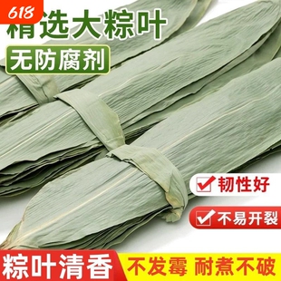 粽叶干大号粽子叶包粽子的叶子芦苇专用老式棕叶新鲜竹叶特大