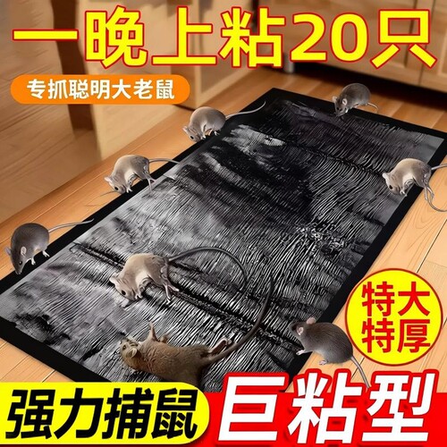 【千人回购】超大粘性粘鼠贴