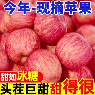 包邮 现摘 整箱红富士冰糖心一级脆甜10 新鲜正宗红富士苹果水果当季