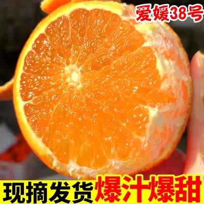 彩箱精品正宗四川爱媛38号果冻橙水果新鲜应当季橙子整箱现摘爆汁
