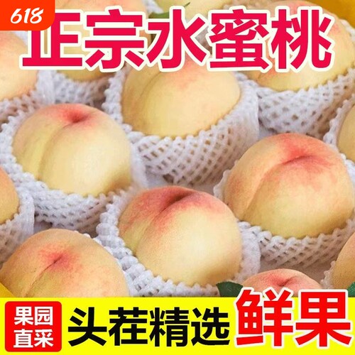 水蜜桃正宗桃子毛桃新鲜应季孕妇水果现摘鲜桃脆桃圆桃整箱包邮