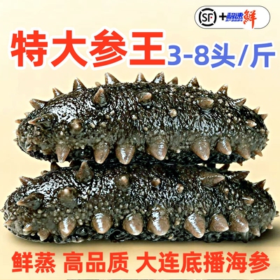老渔民即食海参大连野生海生
