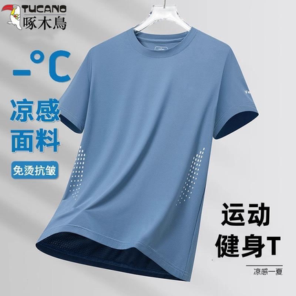 健身衣啄木鸟冰丝透气夏季网眼速干短袖男士薄款运动半上衣t恤