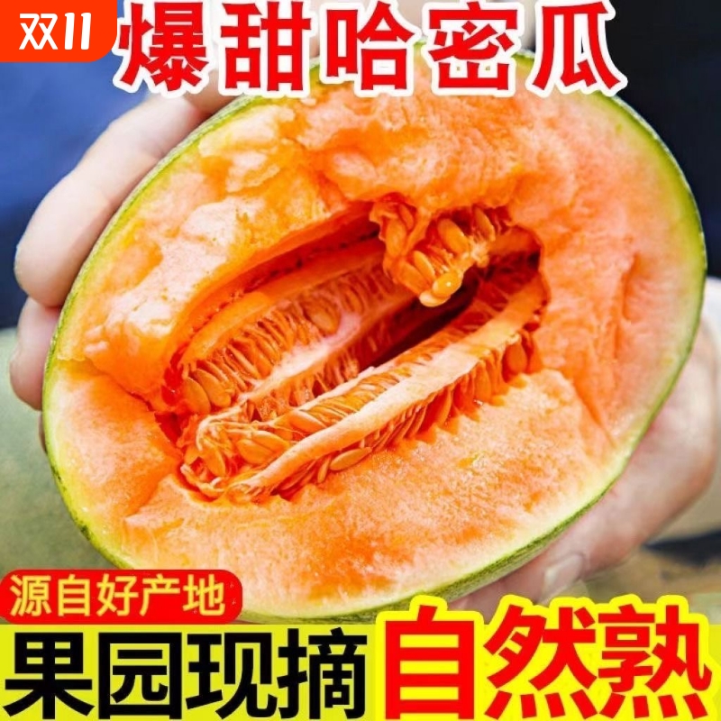 【商超脆甜现摘】正宗哈密瓜正宗新鲜水果25号老汉瓜甜网纹产地发