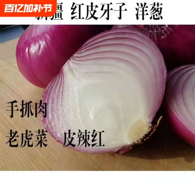 新疆紫皮洋葱水果洋葱新鲜蔬菜现挖洋葱圆头葱红洋葱应季蔬菜