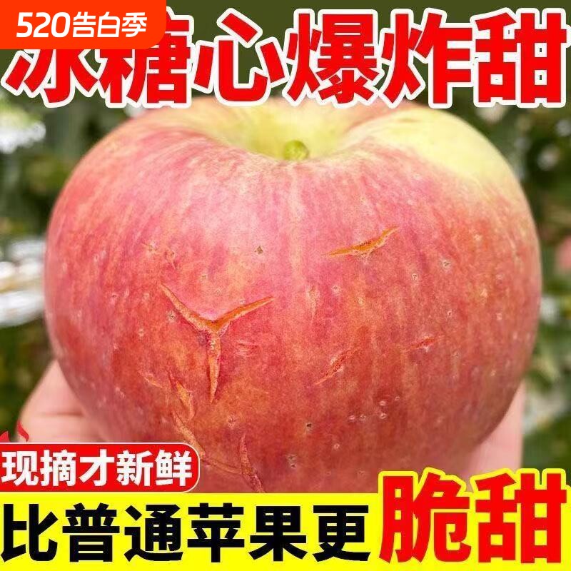 正宗红富士苹果水果新鲜应季脆甜丑平果当季冰糖心一整箱现摘大果