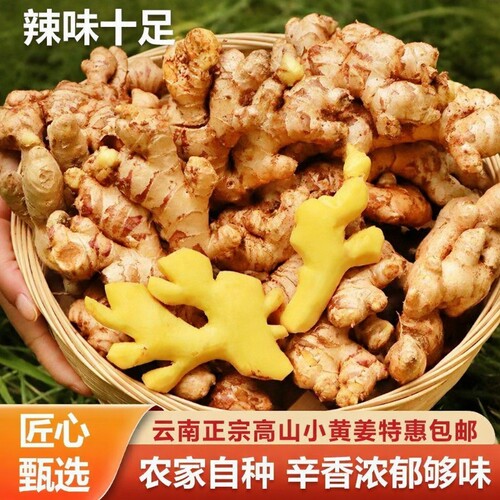 农家原生态种植土姜新鲜生姜