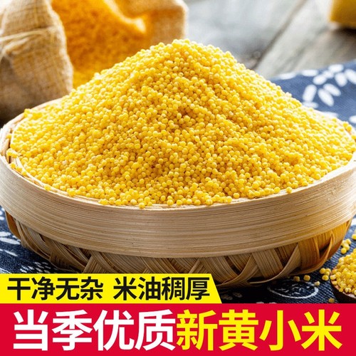 黄小米新米熬粥香糯养胃月子米