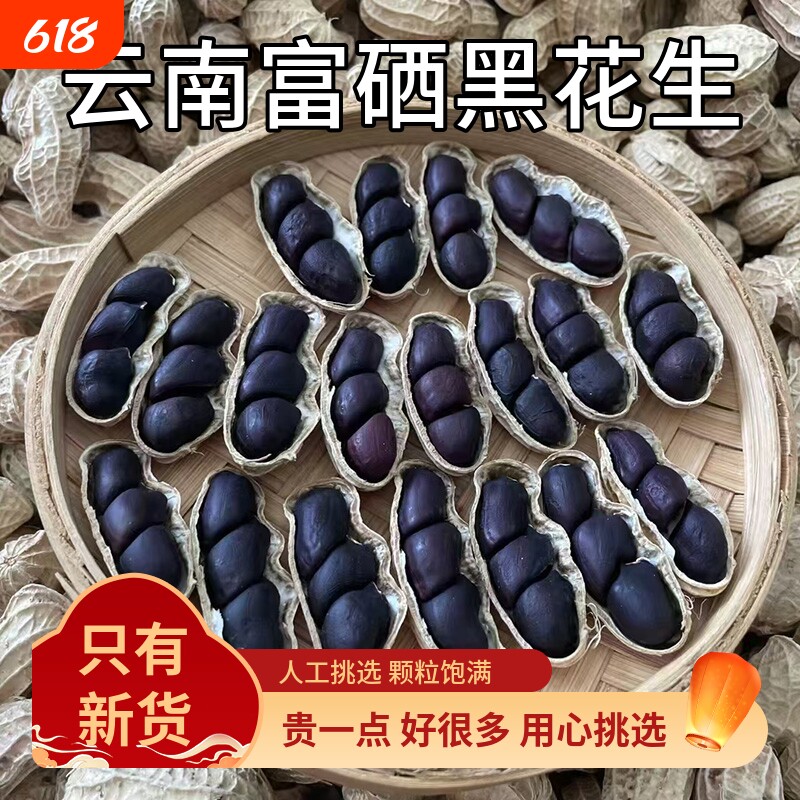 富硒黑花生带壳2025云南普洱特产晒干生熟花生米新货黑皮花生米