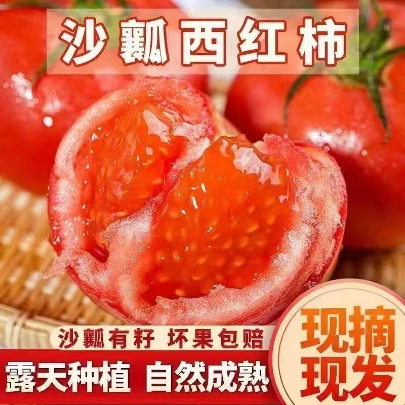 【自然熟】云南露天沙瓤西红柿普罗旺斯生吃番茄新鲜现当季摘蔬菜