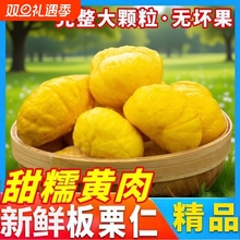 2025年新鲜生板栗仁现剥现发去壳去皮栗子真空包河南信阳生栗子仁