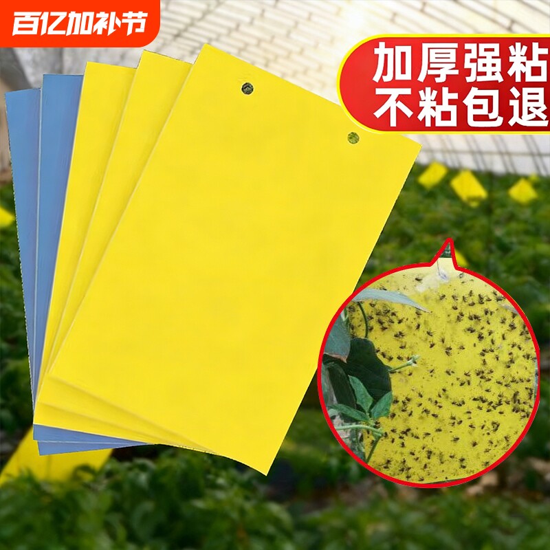 黄板双面粘虫板蓟马纸贴黄蓝飞虫小黑飞果园沾果蝇诱捕器粘板大棚